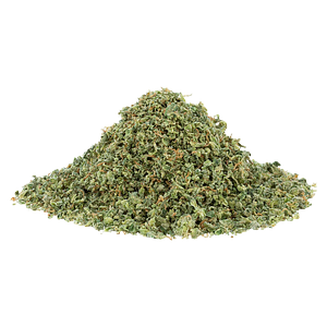 SHRED - Mac N' Cheese