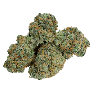 Electric Lettuce - Charged Sativa