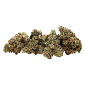 GreenSeal - Praline Gelato Hybrid