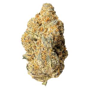 Cultures Chloris - Zombie Bride