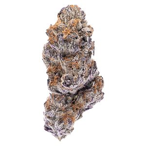 Northern Canna - Hot Rod