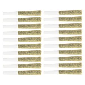 Original Dankster - Trapstar Pre-Roll 