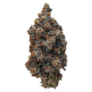 Rocket Factory - Interstellar Stash