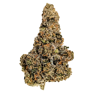 True Fire - Gastro Pop Ultra