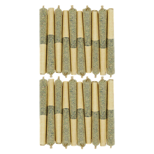 Starting Point! - Star Chase Pre Roll