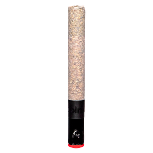 BLK MKT - The Magnum Pre-Roll