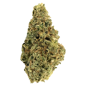 Crooked Dory - AAA+ Indica