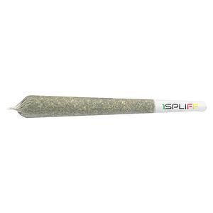 1Spliff - Spliff Caddy Pre Roll