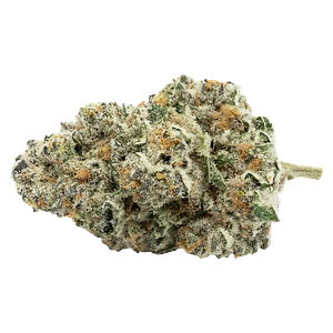 Encore - Back Stage Pass Sativa