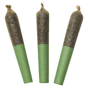 Dab Bods - Tropical Burst 60's+ Dbl Infused Pre Roll