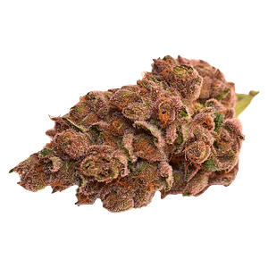 Thumbs Up - Day & Night