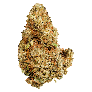 Versus - Purple Afghani