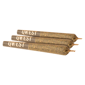 Qwest - Strawberry Guava Pre Roll