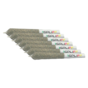 CALI - Mmmosa Evo Pre-Roll