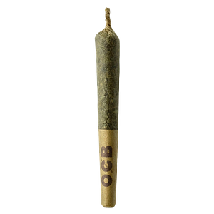 Sheeesh! - Jungle Kush Pre Roll