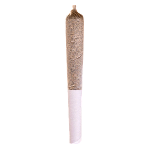 Station House - Blue Dream Express Infused Pre Roll