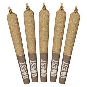 Qwest 35's - Morning Sun Pre-Rolls