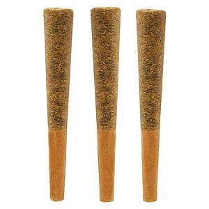 Noodz - Jungle Fire Pre-Roll