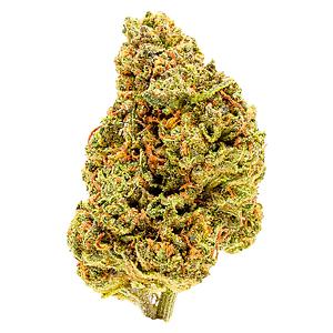 Palmetto - Goldberry