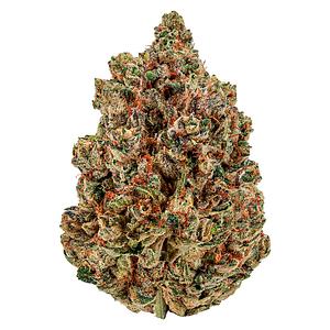 Cheers Cannabis - Sugar Daddy