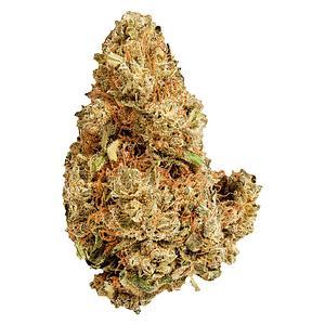 Versus - Purple Afghani image 1