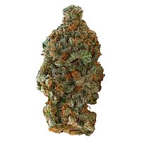 Versus - Gsc (Girl Scout Cookies)