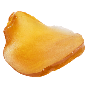 Pura Vida - Fatso Jumbo Slab Shatter