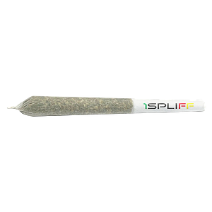 1Spliff - Celestial Mega Pack Pre Roll