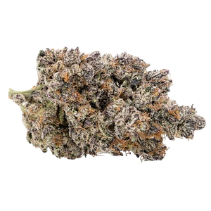 Kootenay Quantum - Dark Matter