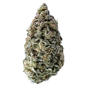 Tantalus Labs - Sky Pilot