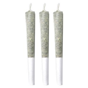 Pineapple Buds - Pineapple Haze Pre Roll