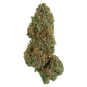 Faded - Diesel Cake