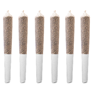 Station House - Trainwreck Pre-Roll