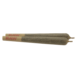 Common Ground - Larry the Purple Alien Pre-Roll