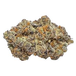 Cactus - Peachy Keen