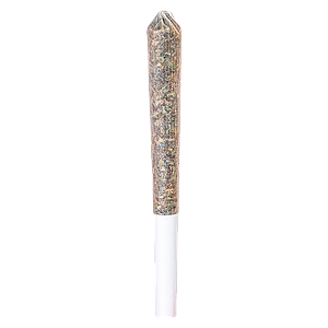 Station House - Ghost Train Haze Express Train Single Infused PreRoll