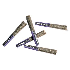 Violet Tourist - Day & Night Jumbo Pack Pre-Roll