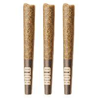 BOLD - Root Beer Float Pre Roll