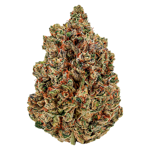 Cheers Cannabis - Sugar Daddy