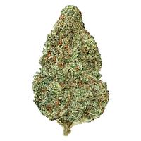 Back Forty - Chemzilla