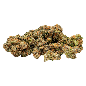 TADU - GovernMint Oasis2