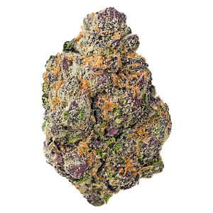 Kolab Project - Exotics