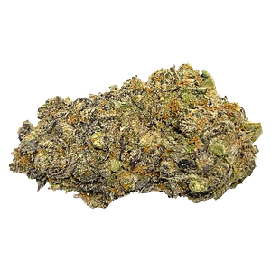 Strain Theory - Gravity Kush