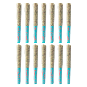 The Loud Plug - Sticky Bunz Pre Roll