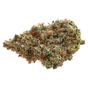 Pure Sunfarms - Neon Lambo