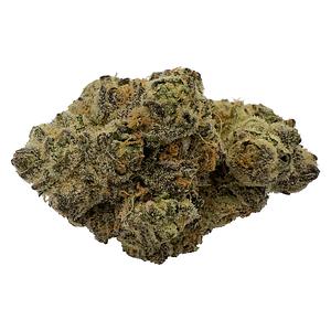 The Florist - Rare Cuts