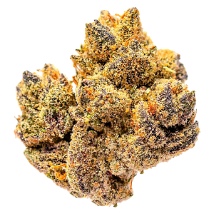 Potluck - Rocky Mountain High
