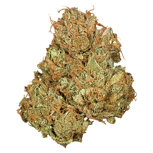 Orchid CBD - Jean Guy Cbd