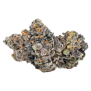 Sixty Seven Sins - Gas Face