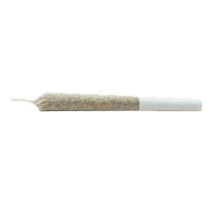 Daily Special - Indica Js Pre Roll